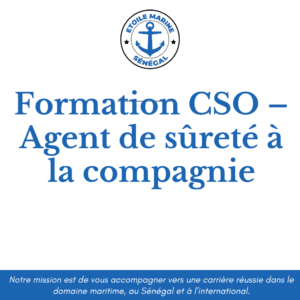 Formation CSO – Agent de sûreté à la compagnie